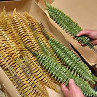 gule grønne bregneblade plastik retro kunstig blomst genbrug